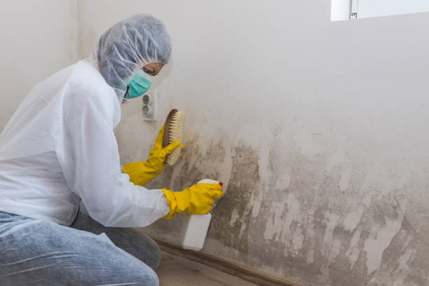 Best Bathroom Mold Remediation in Patrick Af, FL